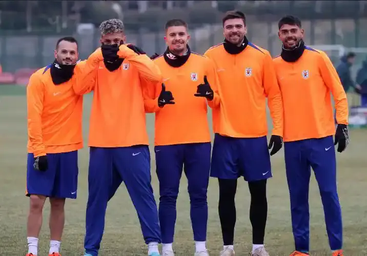 entit, 外援泽卡状