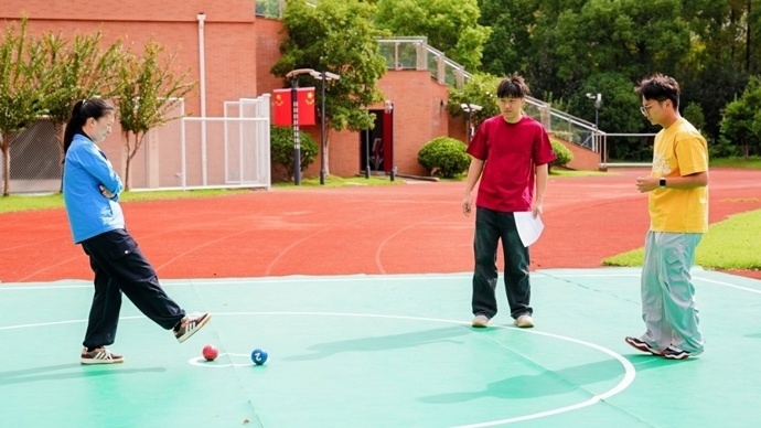 https, 中华民族一, 绣球等